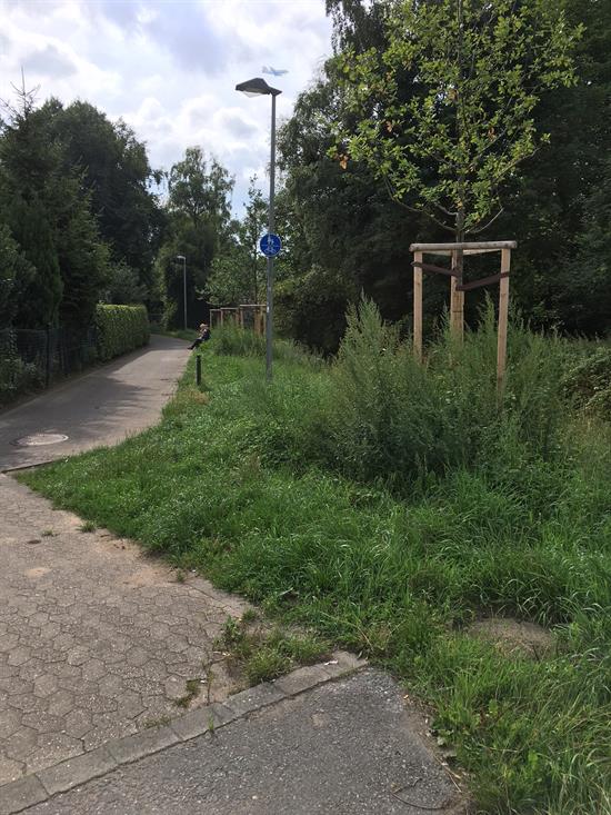 fussweg beeker hof alter markt 020817 i