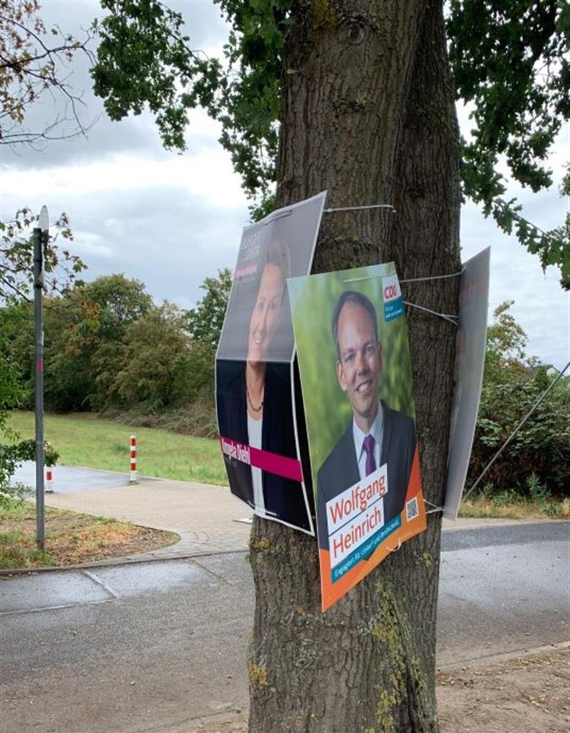 Antrag zum TOP 17 der heutigen Ratssitzung: Verbot der Plakatierung an Bäumen