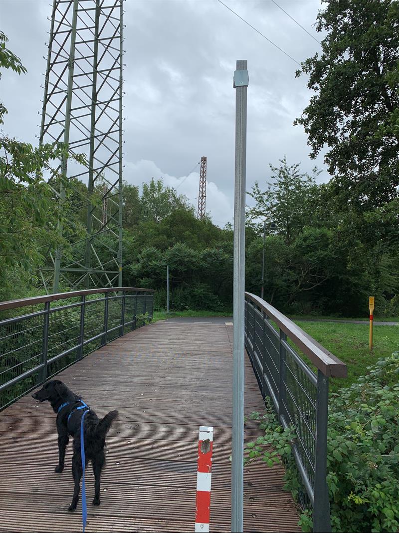 GEFÄHRLICHER EINGRIFF IN DEN STRASSENVERKEHR/Jean-Frohnhof-Weg Lintorf