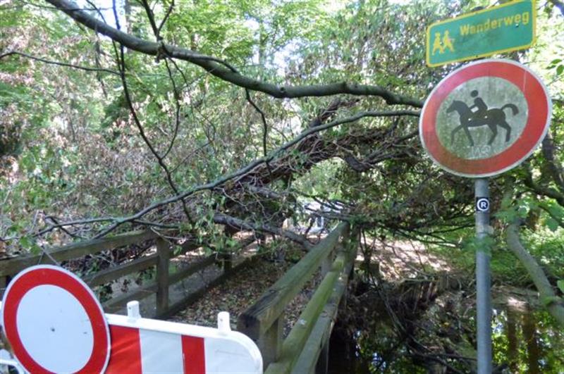 Instandsetzung der Brücke „An den Banden“ am "Neanderlandsteig"