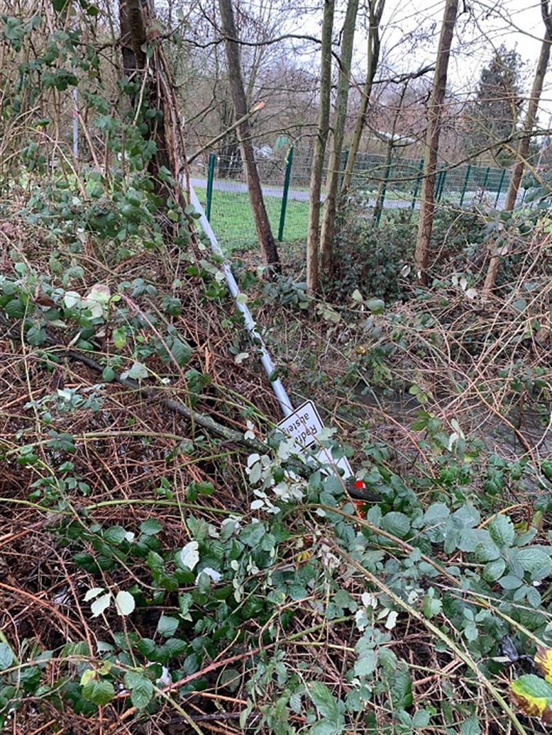 GEFÄHRLICHER EINGRIFF IN DEN STRASSENVERKEHR/JEAN-FROHNHOF-WEG LINTORF
