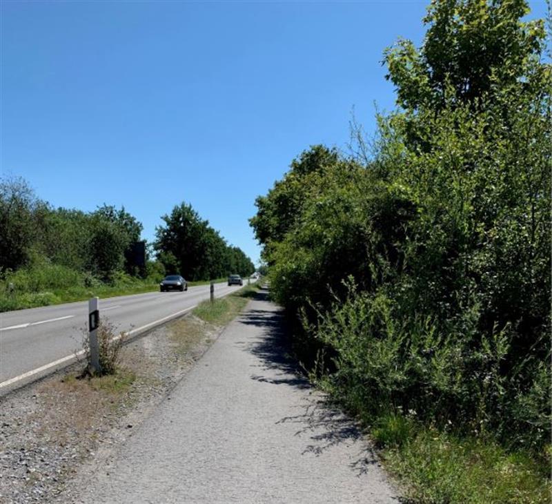 Rad- und Fußwege entlang der Fritz-Bauer-Straße
