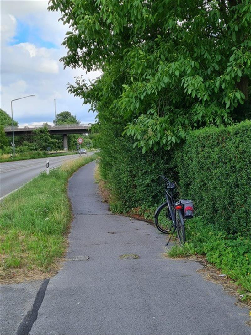 Antrag auf Rückschnitt des Straßengrüns an Radwegen