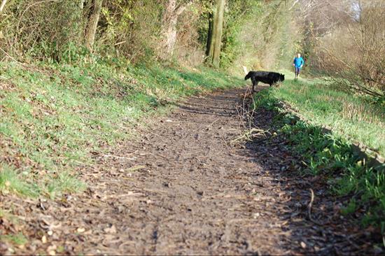 Fußweg entlang des Dickelsbaches in Lintorf