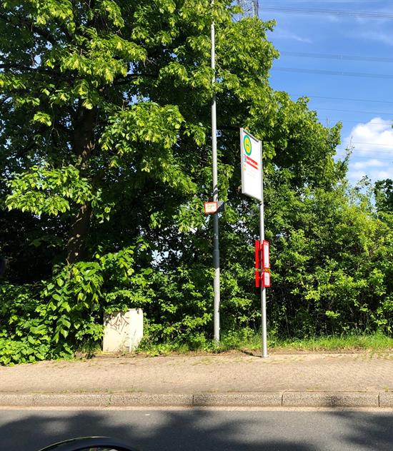 Fehlender Mülleimer an der Haltestelle „Am Wüstenkamp“