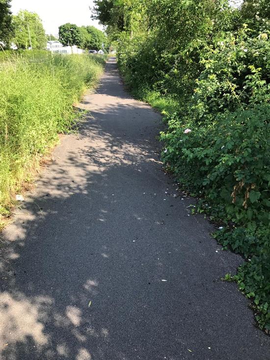 zugewucherter Rad- und Gehweg parallel zur Kalkumer Straße