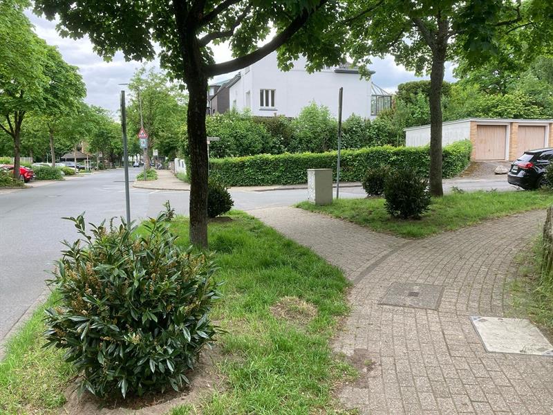 Anfrage UKKNA: Kirschlorbeersetzlinge Schwarzbachstr./Schmiedestr.