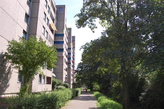 Parkbänke entlang der Grünanlage am Lindwurm in Ratingen-West abgebaut
