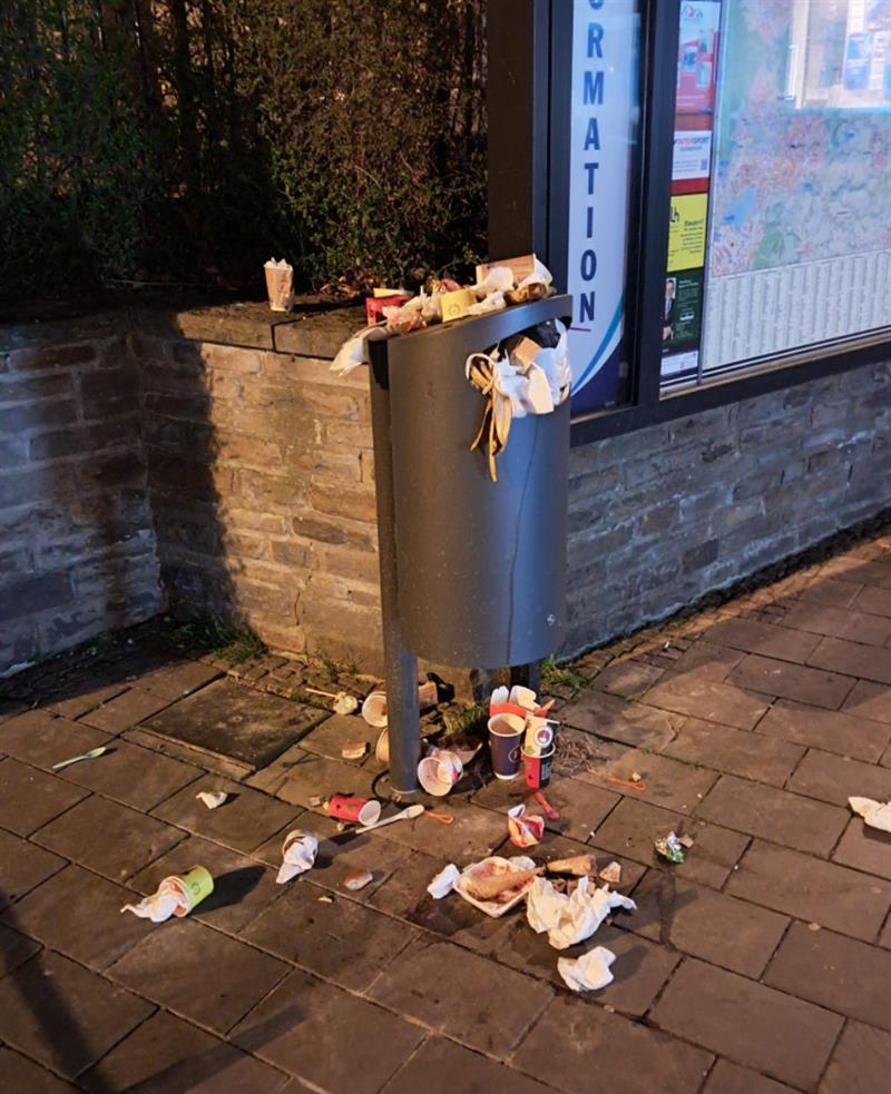 Prüfauftrag : Anpassung der Leerungsintervalle in der Ratinger Innenstadt