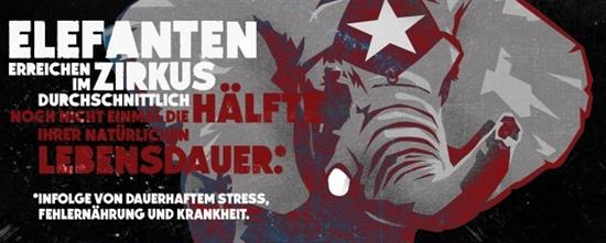 Wildtierhaltung im Zirkus