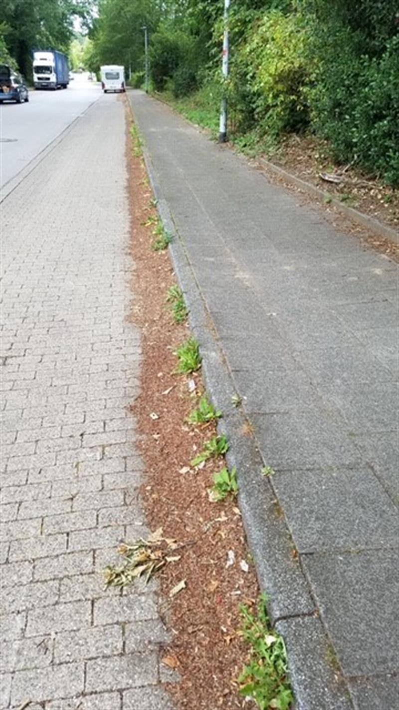 Sauberkeit im Bereich des Höseler Friedhofes