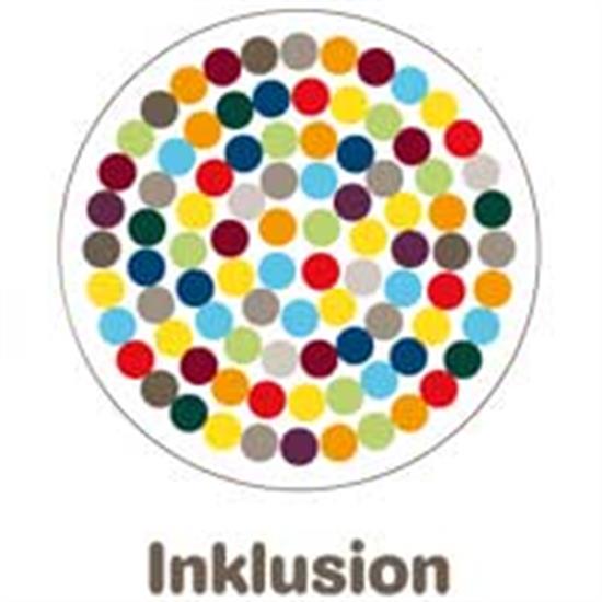Antrag Aktionsplan Inklusion 