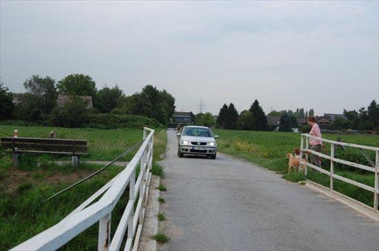 Sperrung Soestfeld - Bürgerbefragung